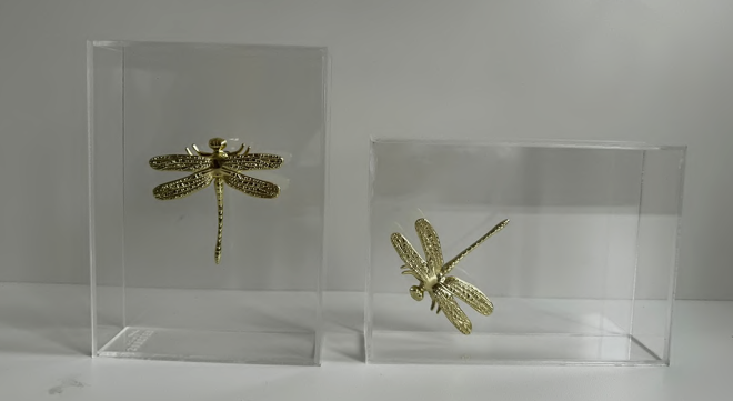 Adorno Caixa Acrílica com Libélula Dourada – 18 cm