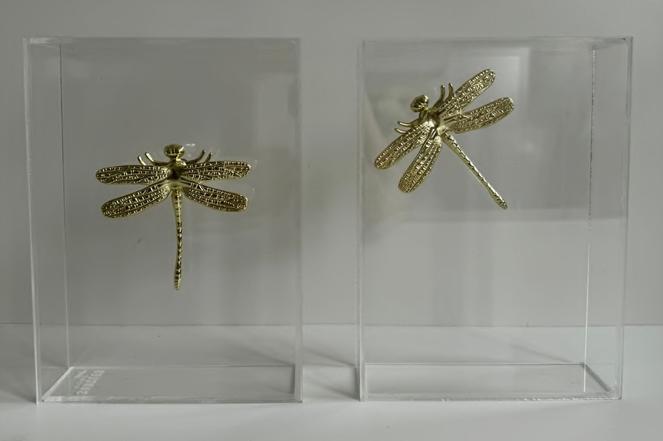 Adorno Caixa Acrílica com Libélula Dourada – 18 cm